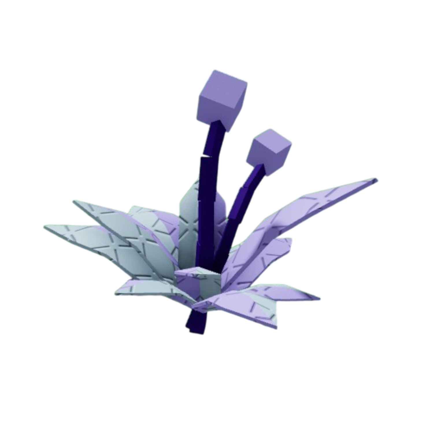 Candy Blossom