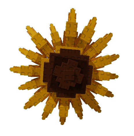 Sunflower Seed